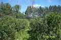 100_2461 (Copier)